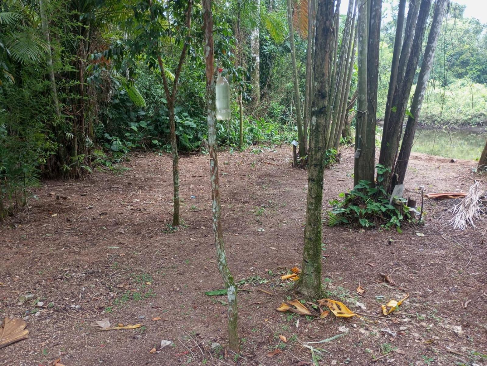 Camping Monte Hermom Ubatuba Luaran gambar